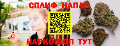 стафф Ставрополь