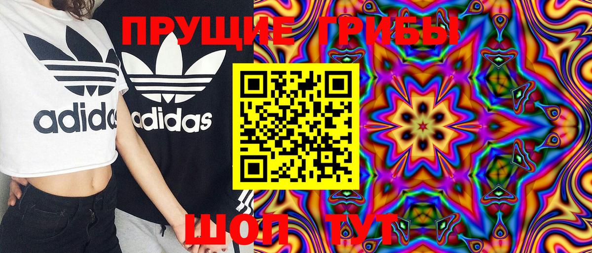 Галлюциногенные грибы мухоморы Моздок