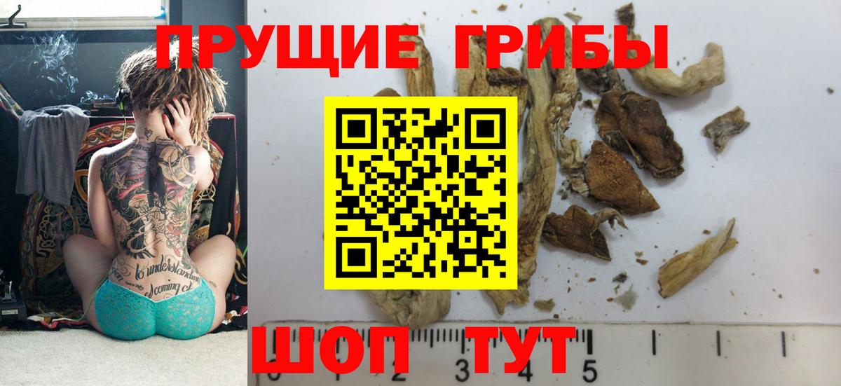 Галлюциногенные грибы GOLDEN TEACHER  Вход с VPN  Моздок 